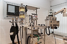 © www.vollfotograf.at