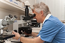 © www.vollfotograf.at